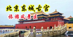 美女鸡巴插逼网站中国北京-东城古宫旅游风景区